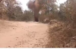 सुरक्षाबलों ने नक्सलियों के नापाक मंसूबो पर फेरा पानी,कांकेर-नारायणपुर सीमा पर प्रेशर IED बरामद कर किया नष्ट