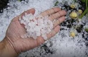 छत्तीसगढ़ में बदला मौसम का मिजाज, धमतरी में बेमौसम बारिश और ओलावृष्टि, रायपुर में भी चली तेज हवा