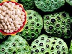 धमतरी बनेगा मखाना हब: नगरी क्षेत्र की अनुकूल जलवायु से मखाना उत्पादन बढ़ेगा, किसानों की आय में होगा इजाफा