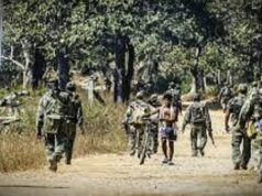 माओवादी हिंसा का अंत: जंगल का बदला मनोविज्ञान, थम रही बंदूकें; भरोसे की खुली राह