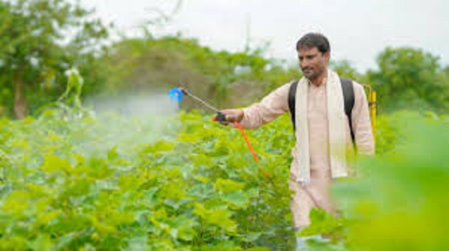 kisan