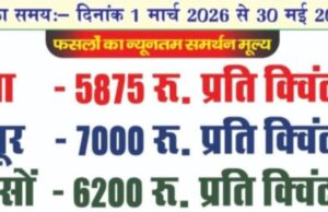 नियत तिथि के 15 दिन पहले ही रबी सरसों के समर्थन मूल्य पर खरीदी बंद , ज्ञापन
