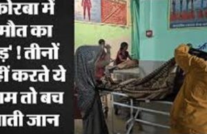तीन दोस्तों की दर्दनाक मौत -आंधी-तूफान से बचने के लिए पेड़ के नीचे रुके, ऊपर से गिर गई डाल; गांव में मच गया कोहराम