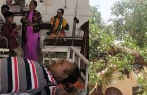 गरियाबंद में बड़ा हादसा – सुशासन तिहार के दौरान गिरा विशाल पीपल का पेड़, 7 घायल