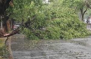 देश के बड़े हिस्से में मानसून ब्रेक, MP-UP में कम बारिश… पूर्वोत्तर में बाढ़ और लैंडस्लाइड से हालात बिगड़े