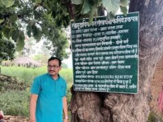 रायगढ़ में दो कोल प्रोजेक्ट को हरी झंडी, अडानी की अंबुजा सीमेंट को भी मिला पर्यावरण क्लियरेंस