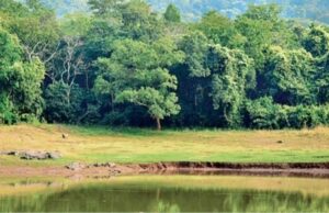 बस्तर के जंगलों की अब ‘थर्मल ड्रोन’ से होगी निगरानी: रात के अंधेरे में भी शिकारी और तस्करों पर रहेगी पैनी नजर