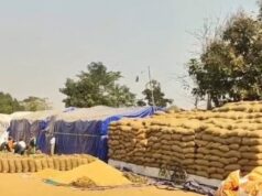महासमुंद में 17.93 करोड़ रुपये का धान घोटाला, 15 समितियों पर एफआईआर, 39 केंद्रों पर कार्रवाई कब?