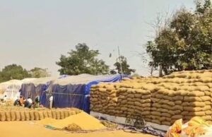 महासमुंद में 17.93 करोड़ रुपये का धान घोटाला, 15 समितियों पर एफआईआर, 39 केंद्रों पर कार्रवाई कब?