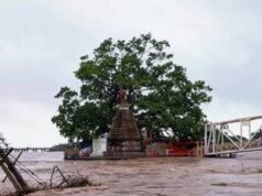 महानदी उफान पर, वर्षों बाद डूबा कुलेश्वर महादेव मंदिर; गरियाबंद-रायपुर मार्ग ठप