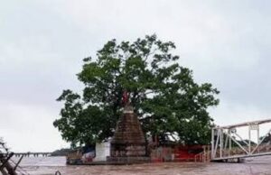 महानदी उफान पर, वर्षों बाद डूबा कुलेश्वर महादेव मंदिर; गरियाबंद-रायपुर मार्ग ठप