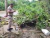 बारिश का कहर – बिलासपुर में नाले में बहने से वृद्धा की मौत, रायगढ़ में आकाशीय बिजली गिरने से महिला ने गंवाई जान