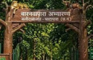 बारनावापारा अभयारण्य में सफारी पर ब्रेक, 31 अक्टूबर तक बंद रहेगा पार्क; बफर क्षेत्र में शुरू हुआ नया टूरिस्ट सर्किट