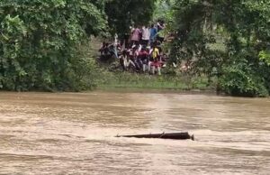 छत्तीसगढ़ में बड़ा हादसा! उफनते नाले में बही बिजली विभाग की पिकअप, एक कर्मचारी लापता