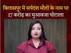 सर्पदंश मुआवजा घोटाला, महिला डॉक्टर के बाद 3 क्लर्क अरेस्ट:बिलासपुर में फर्जी पीएम रिपोर्ट से 17 करोड़ का फर्जीवाड़ा; 17 केस की जांच