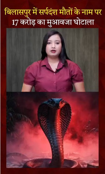 sajp