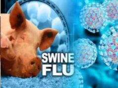 दुर्ग में स्वाइन फ्लू की दस्तक! 2 साल 11 माह की बच्ची में H1N1 की पुष्टि, स्वास्थ्य विभाग अलर्ट