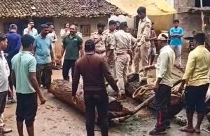छत्तीसगढ़-ओडिशा बॉर्डर पर सागौन तस्करी के खिलाफ बड़ी कार्रवाई, 3 संदिग्धों के ठिकानों पर छापा