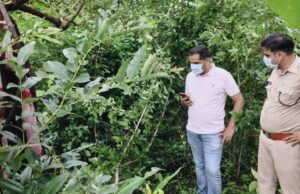 7 दिन से लापता महिला का जंगल में मिला क्षत-विक्षत शव, भोरमदेव पुलिस टीम जांच में जुटी