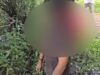सिलतरा में पेड़ पर अज्ञात व्यक्ति ने फांसी लगाकर आत्महत्या कर ली