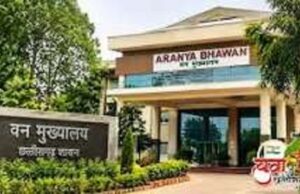 छत्तीसगढ़ में 2024 बैच के IFS प्रशिक्षु अधिकारियों की पोस्टिंग,आदेश जारी