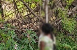 सीजी: अस्पताल से अचानक लापता हुई नवप्रसूता, अगले दिन पेड़ पर फंदे से लटका मिला शव; आईसीयू में भर्ती है नवजात