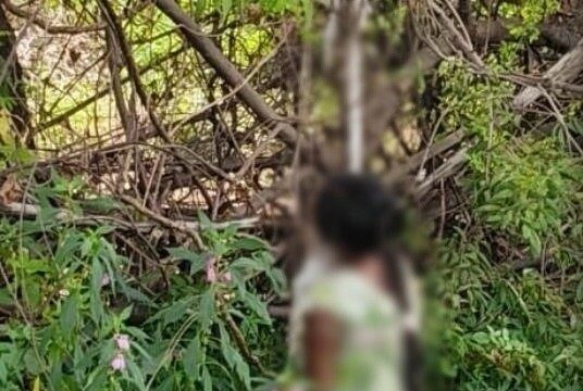 सीजी: अस्पताल से अचानक लापता हुई नवप्रसूता, अगले दिन पेड़ पर फंदे से लटका मिला शव; आईसीयू में भर्ती है नवजात