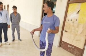 सांपों को बचाने वाले मनीष पाटिल की सांप ने डसा, मौत हो गई
